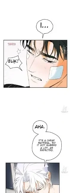 Chapter 29, page 41