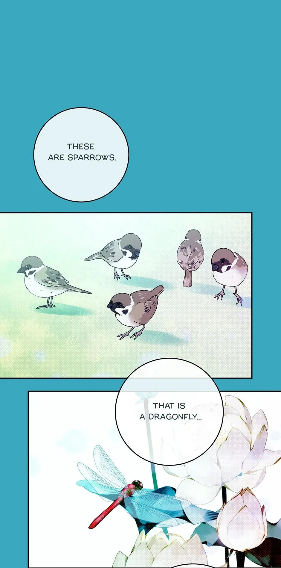 Chapter 6, page 25