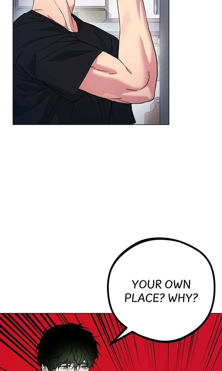 Chapter 4, page 36