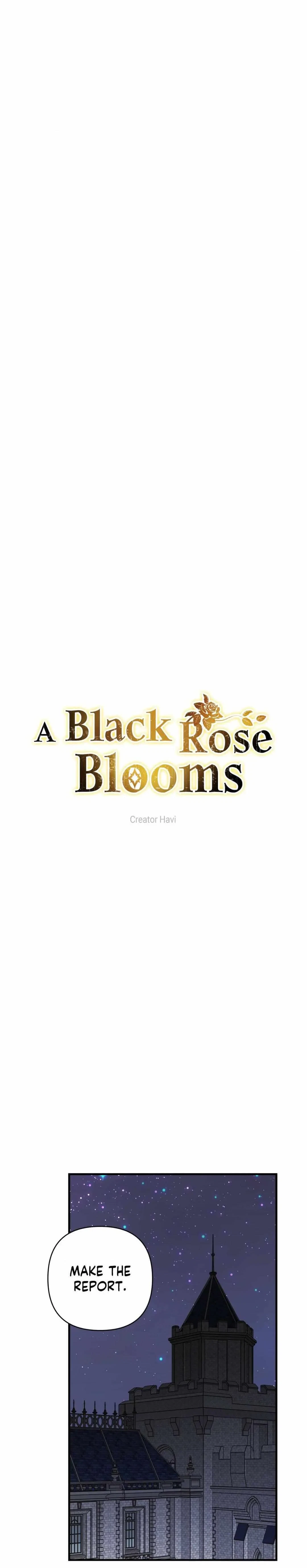 A Black Rose Blooms Chapter 92, page 8