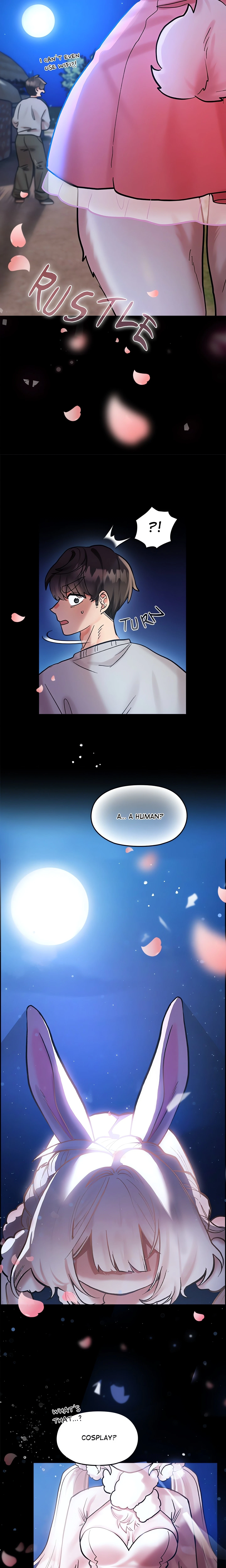 Chapter 1, page 11