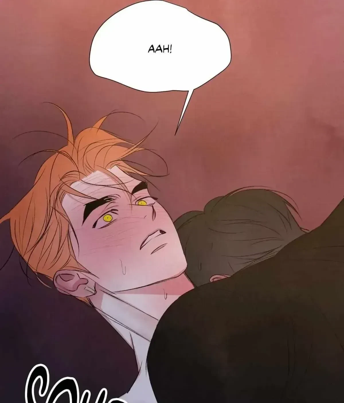 Chapter 3.5, page 79