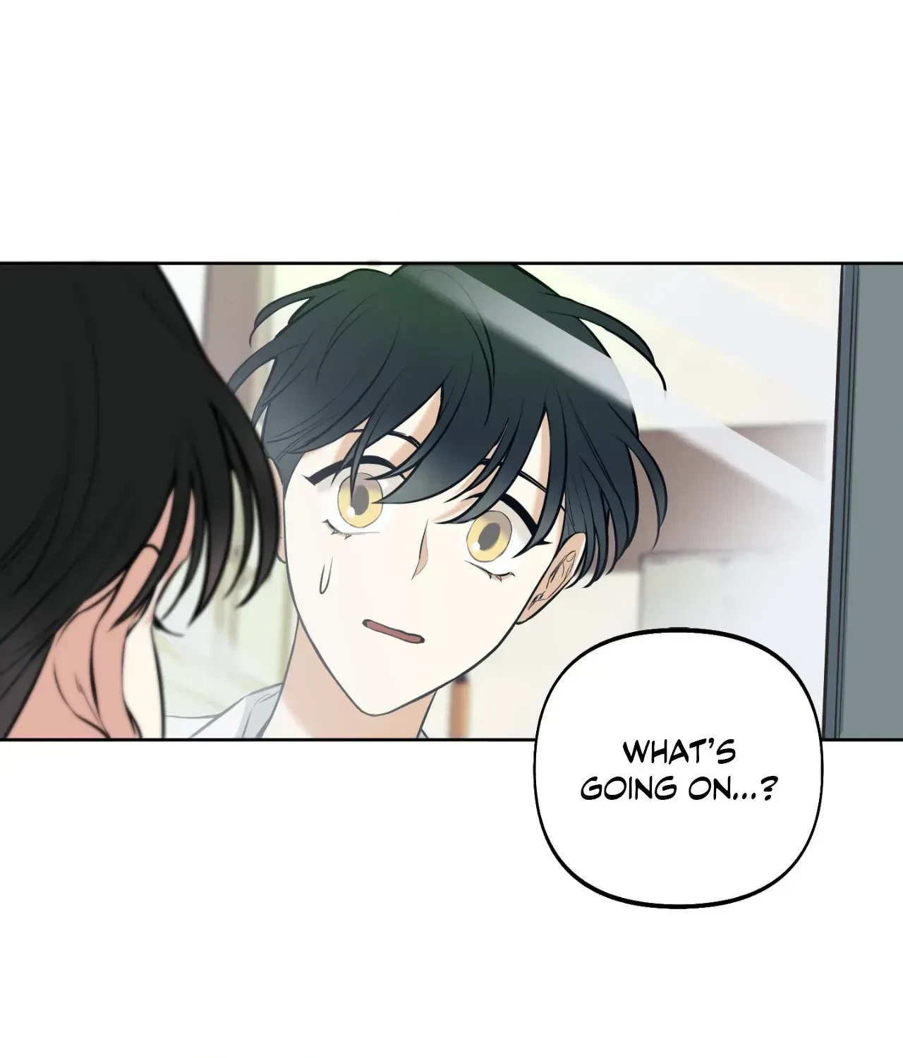 Chapter 2, page 13
