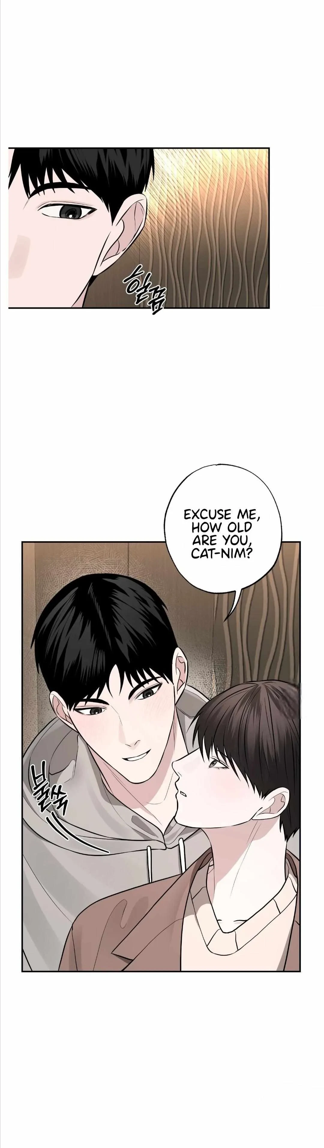 Chapter 1, page 29