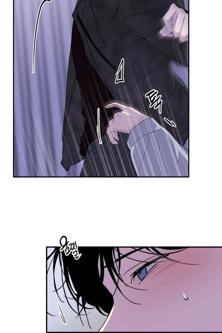 Chapter 5, page 101