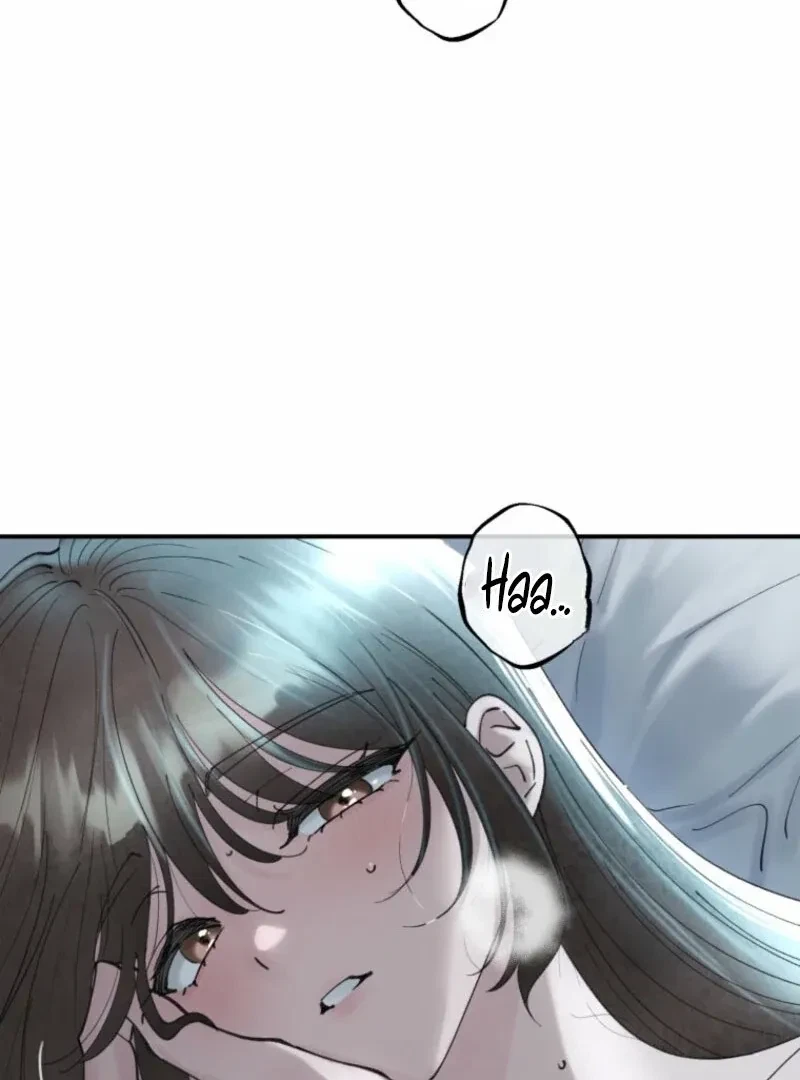 Chapter 2.5, page 100