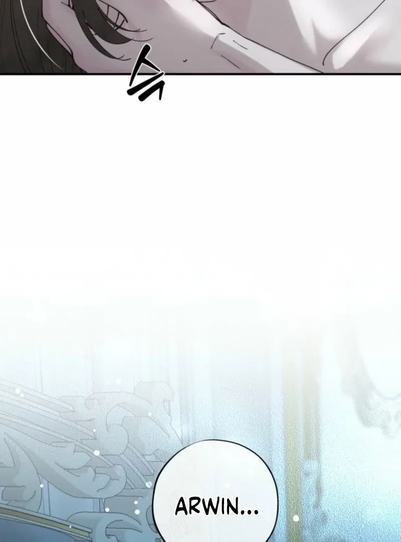 Chapter 2.5, page 101