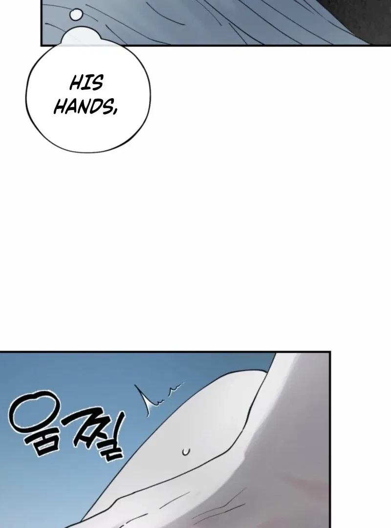 Chapter 2.5, page 51