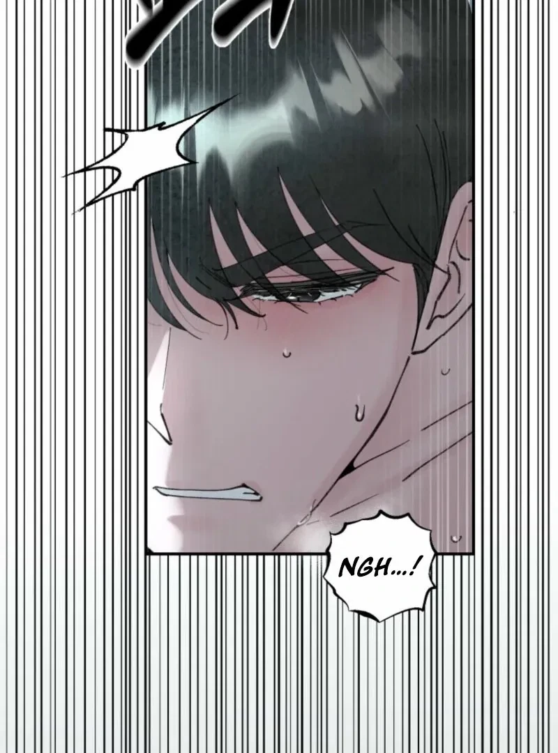 Chapter 2.5, page 96