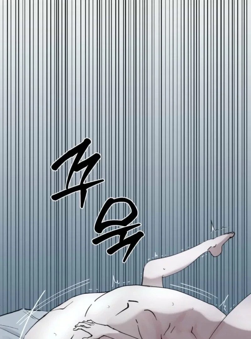 Chapter 2.5, page 97