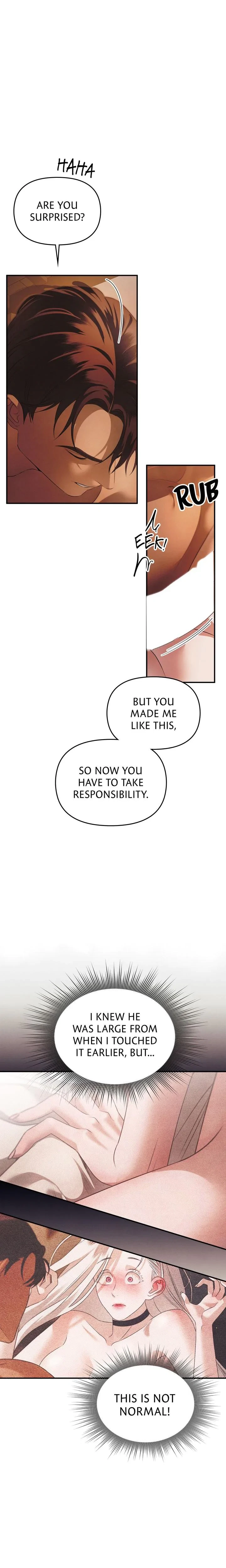Chapter 3, page 15