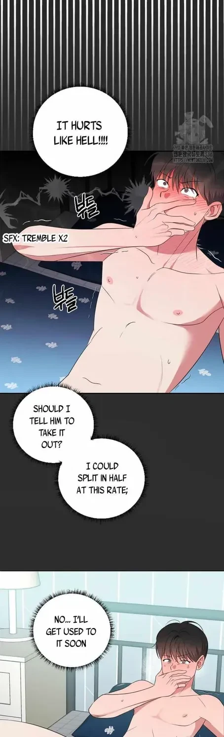 Chapter 4, page 5
