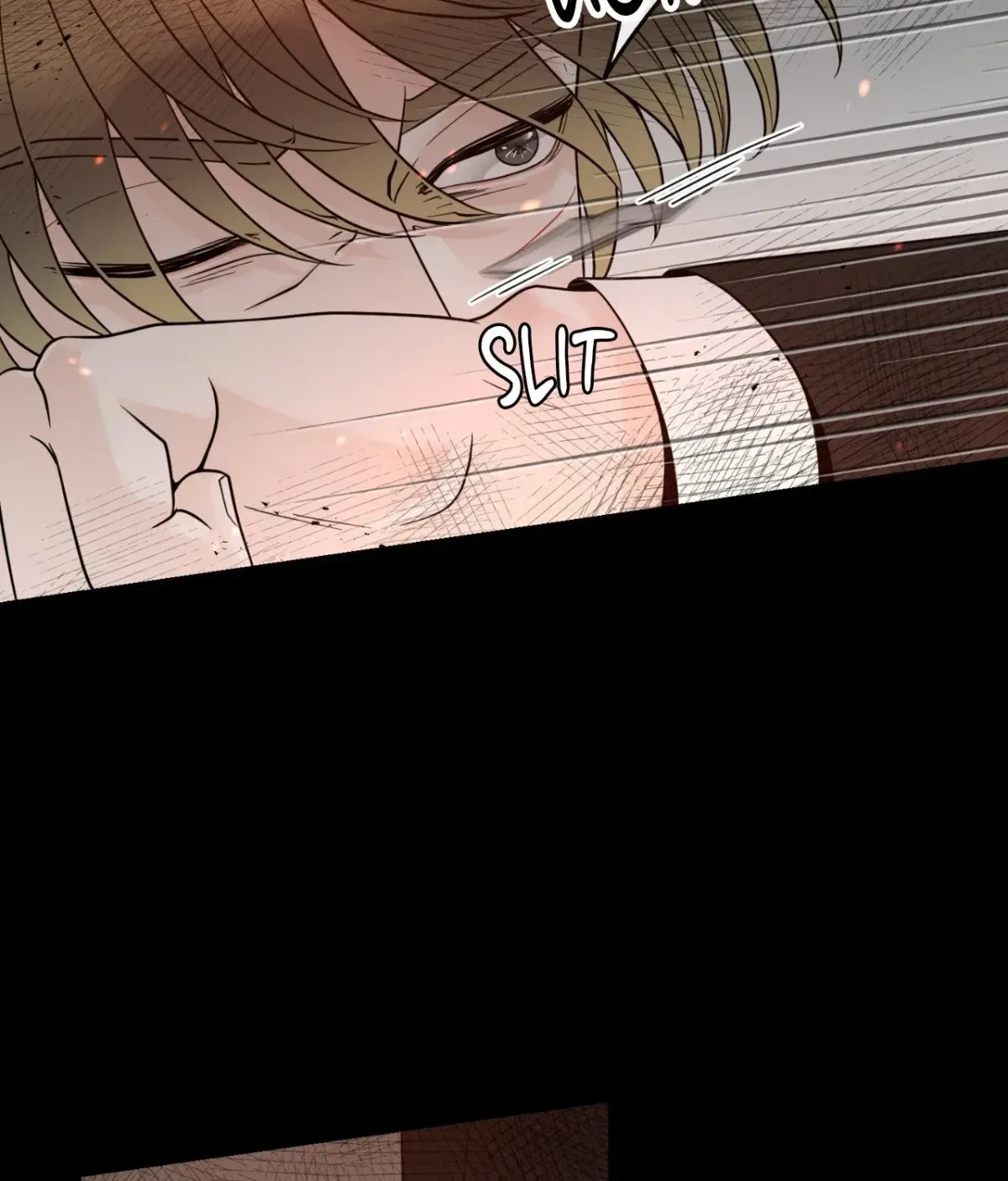 The Alpha's Mate Chapter 67, page 64