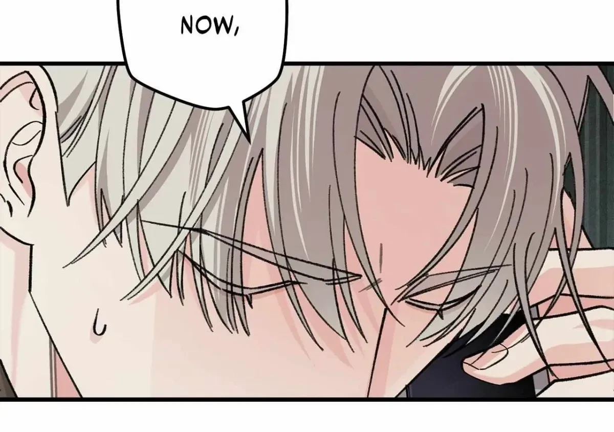 Chapter 6.1, page 65
