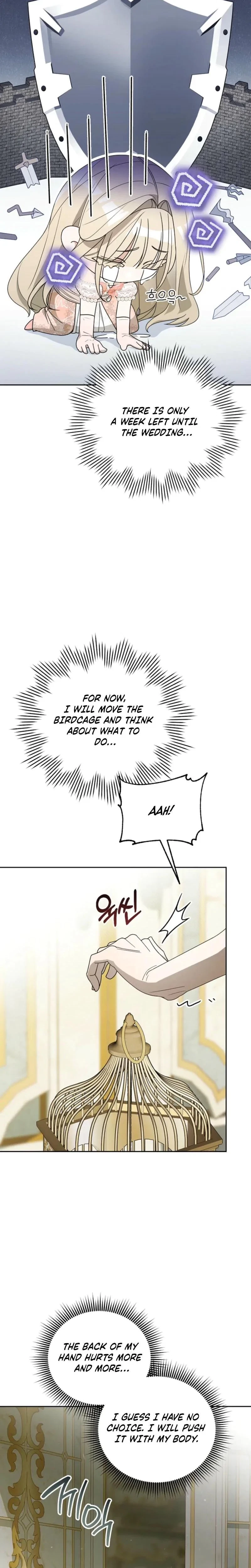 Chapter 3, page 17