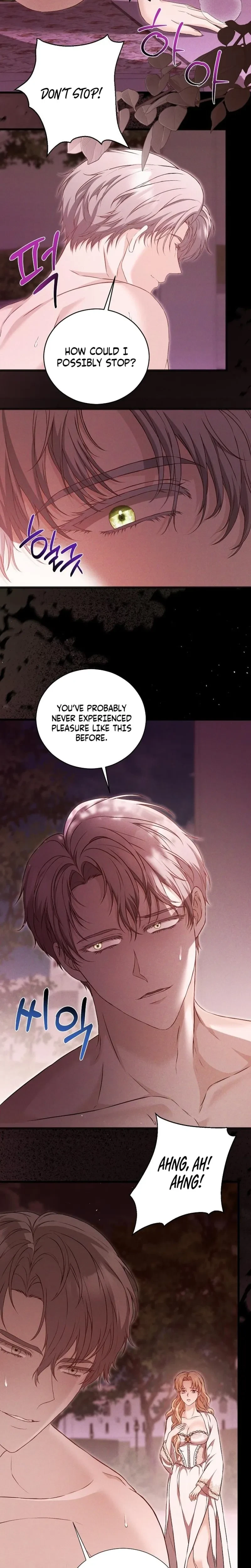 The Covert Of The Countess Chapter 24, page 15