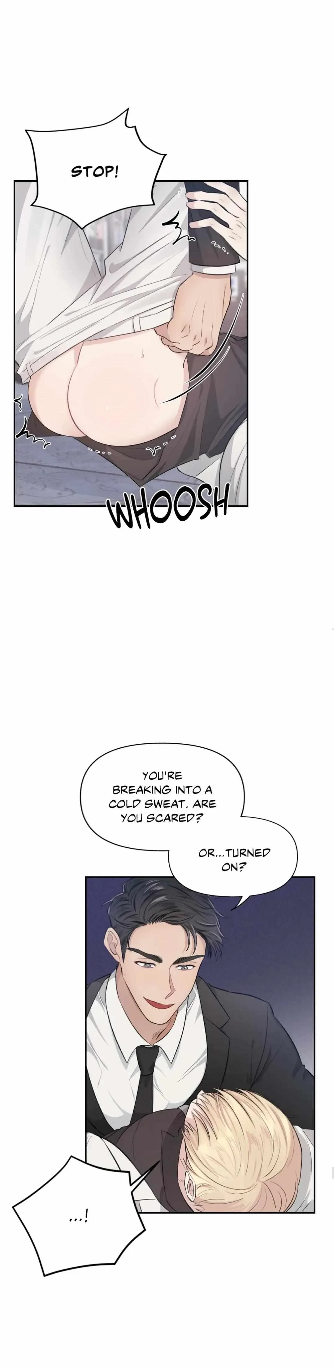 Chapter 2, page 19