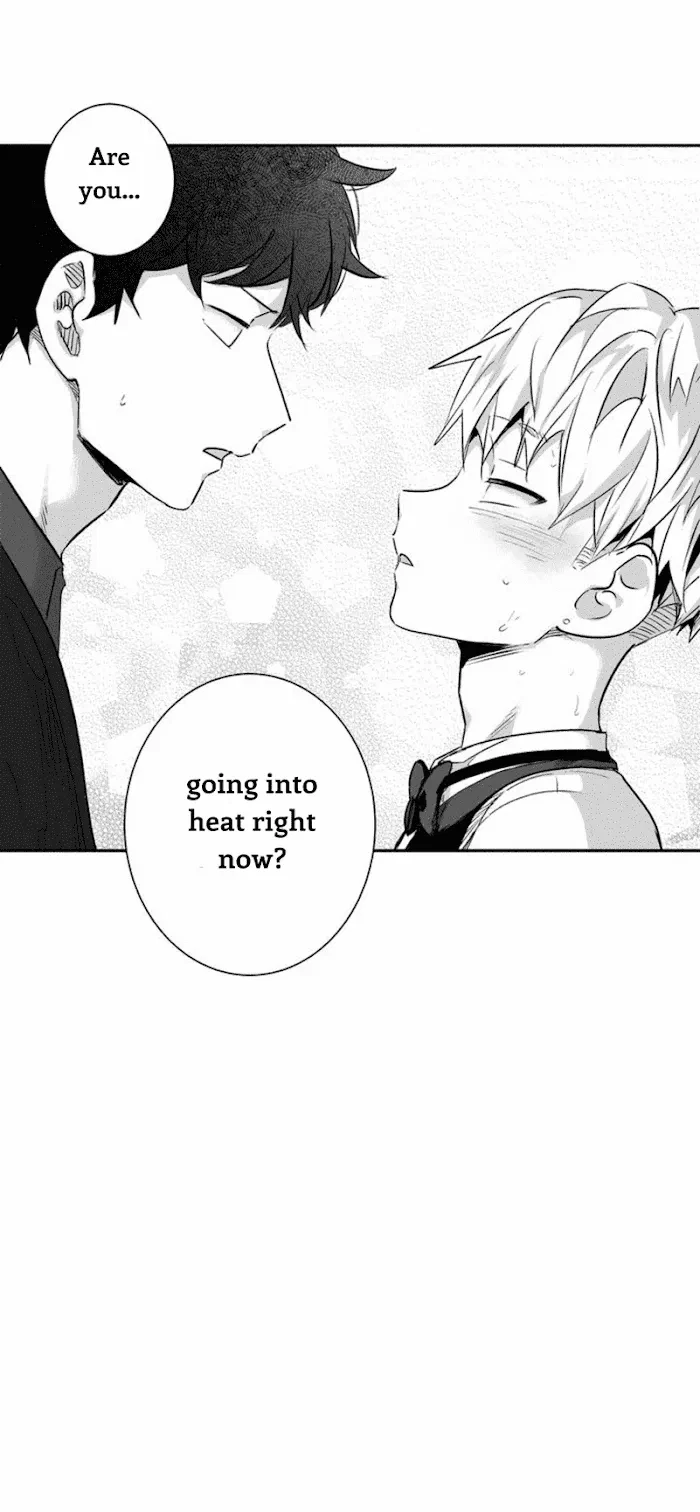 Chapter 1, page 19