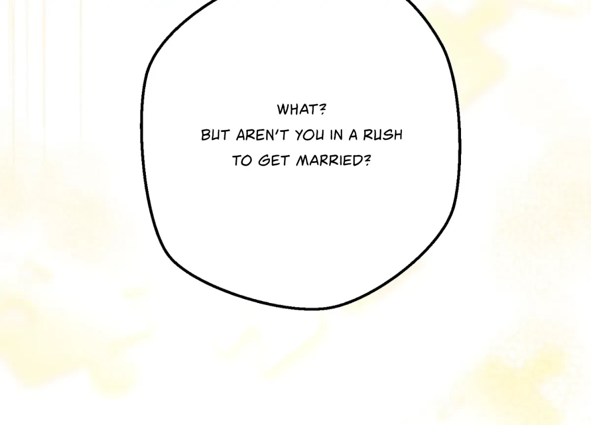 Chapter 15, page 121