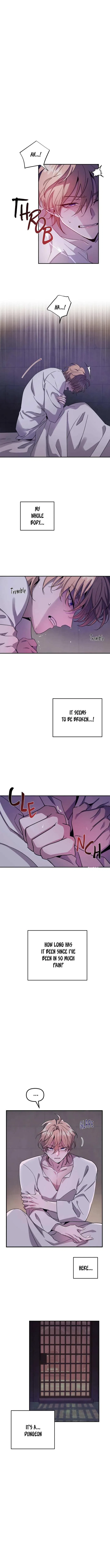 Chapter 3, page 11