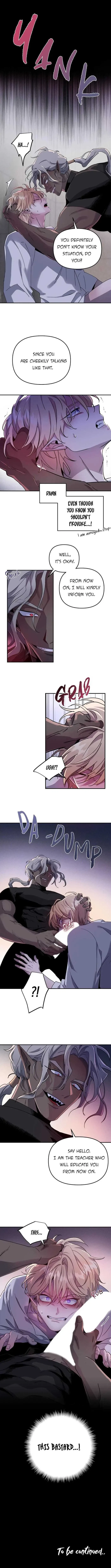 Chapter 3, page 17