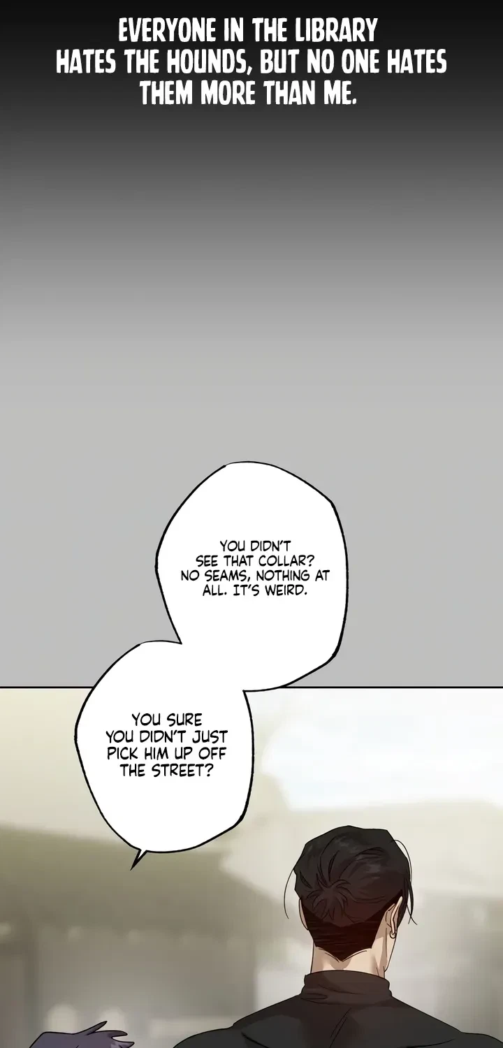 Chapter 5, page 39