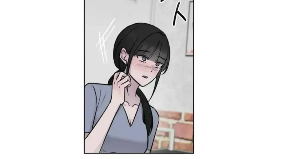 Chapter 4.6, page 101