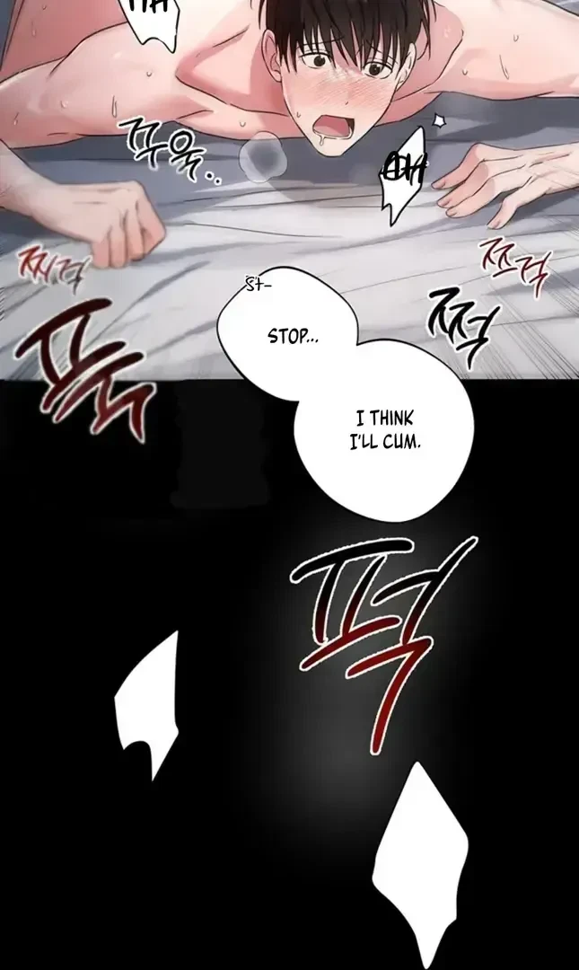 Chapter 1.1, page 13