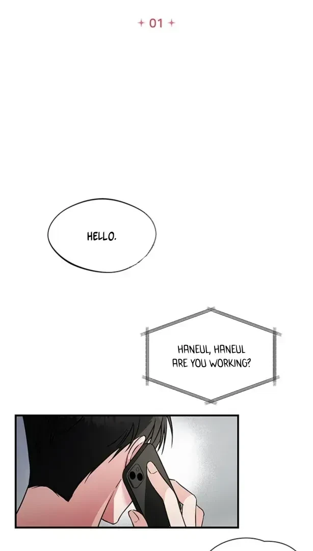 Chapter 1.1, page 18