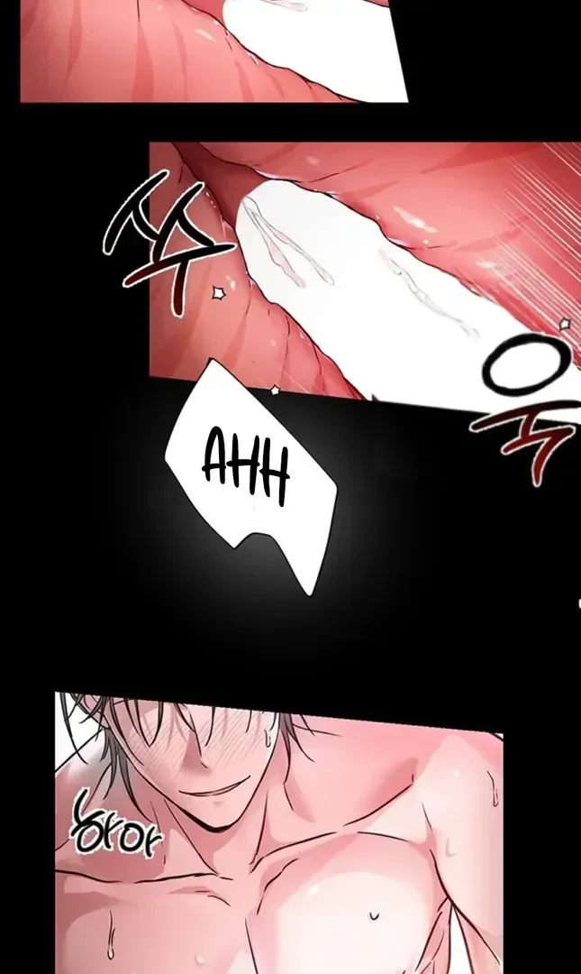 Chapter 1.1, page 5