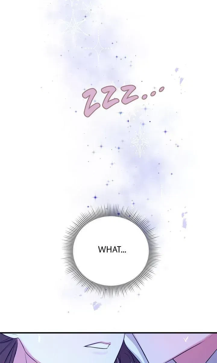 Chapter 2.1, page 15