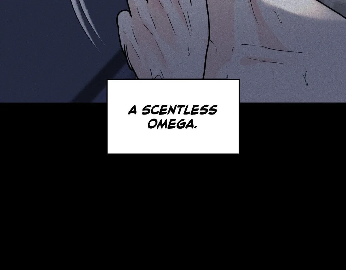 Chapter 2, page 23