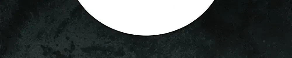 Chapter 29, page 92