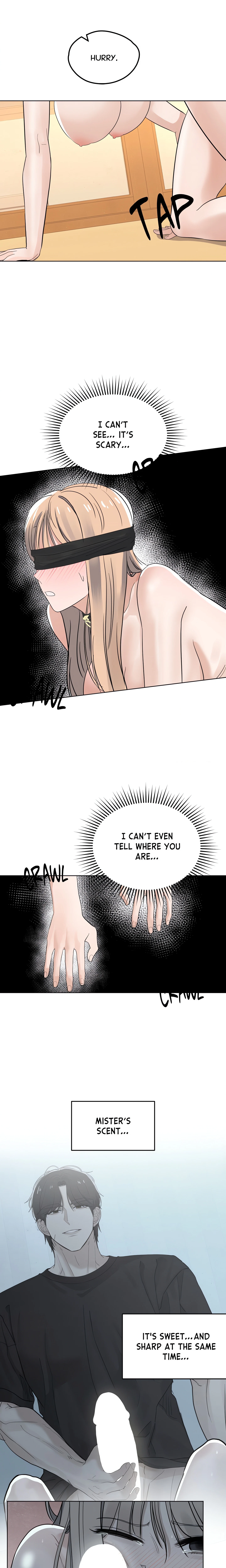 Chapter 11, page 15