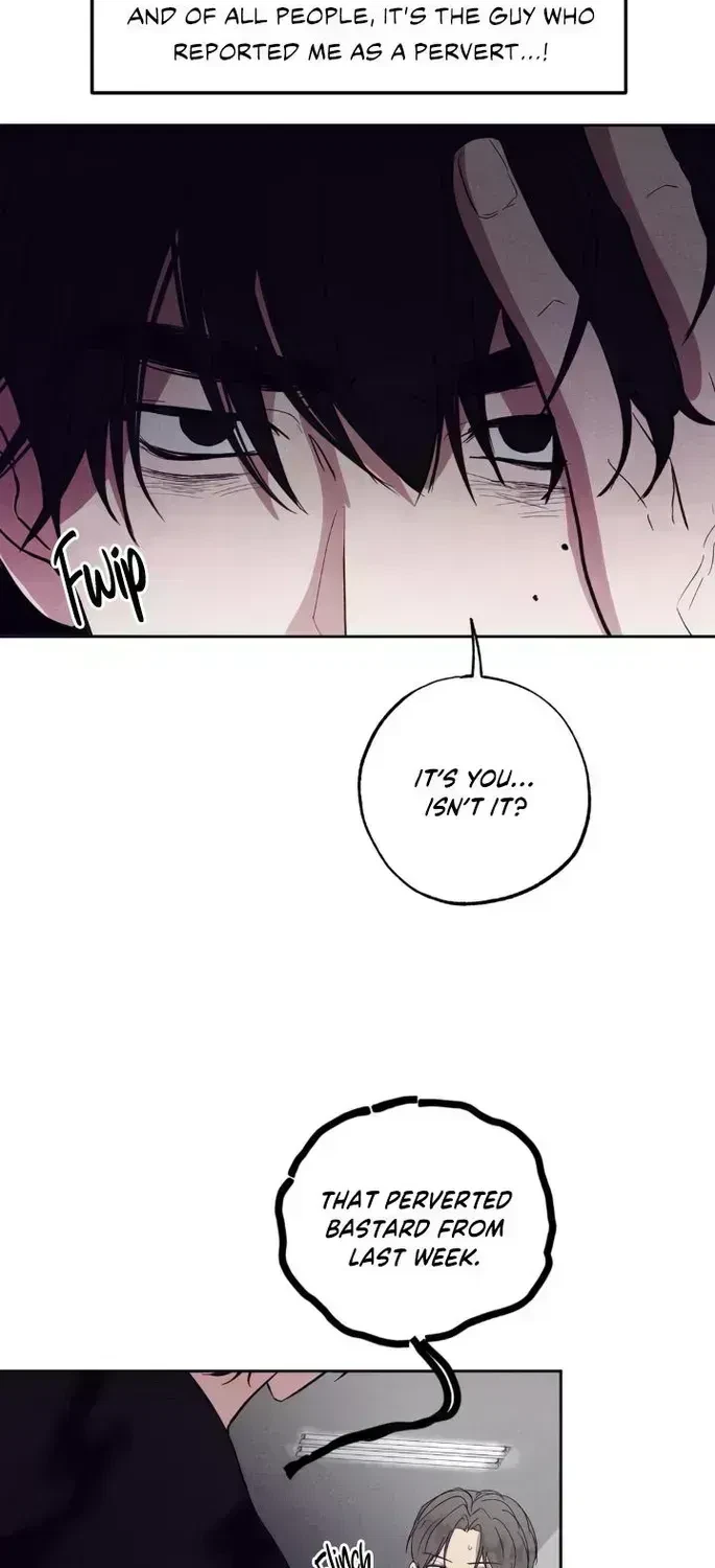 Chapter 3.9, page 19