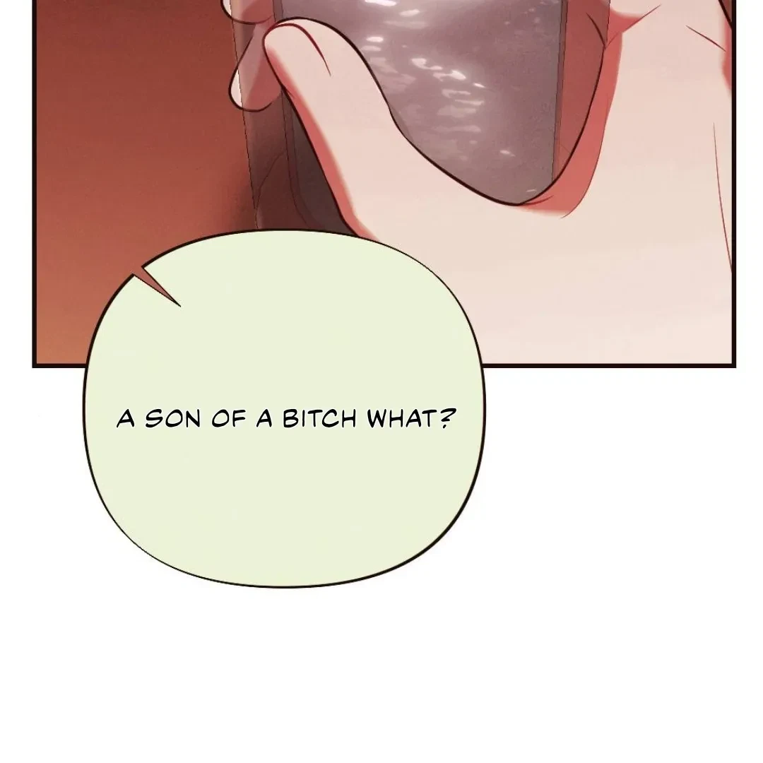 Chapter 8, page 110