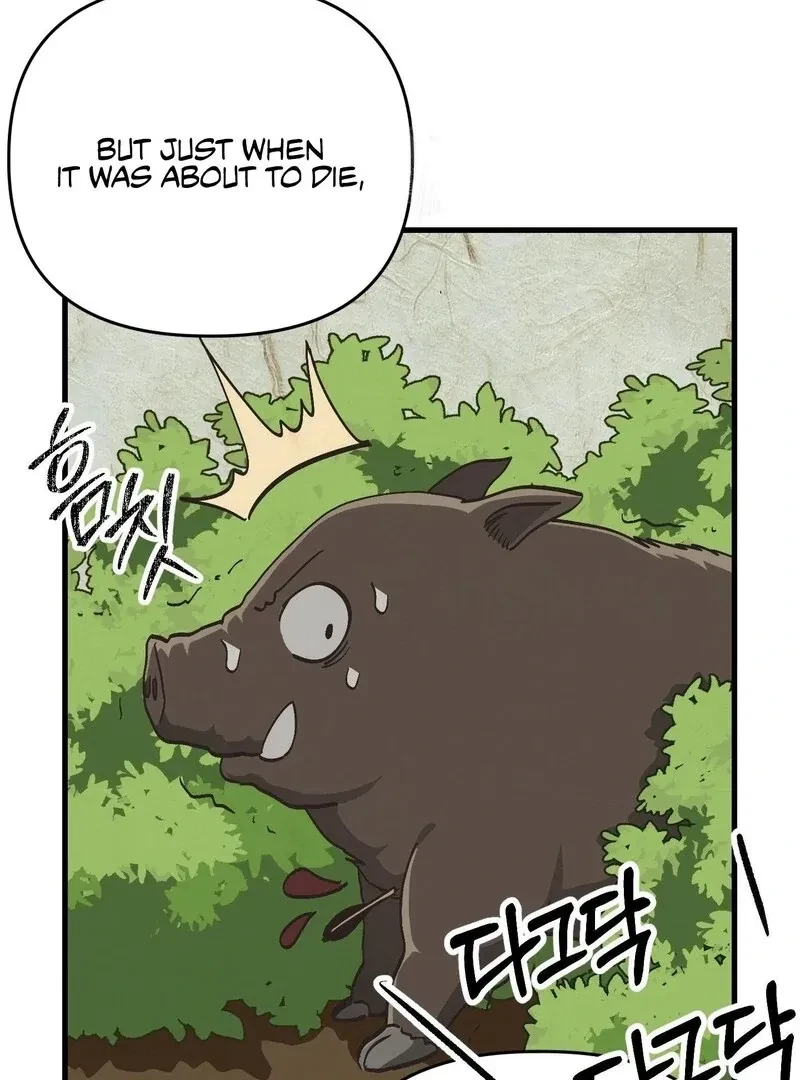 Chapter 3, page 39