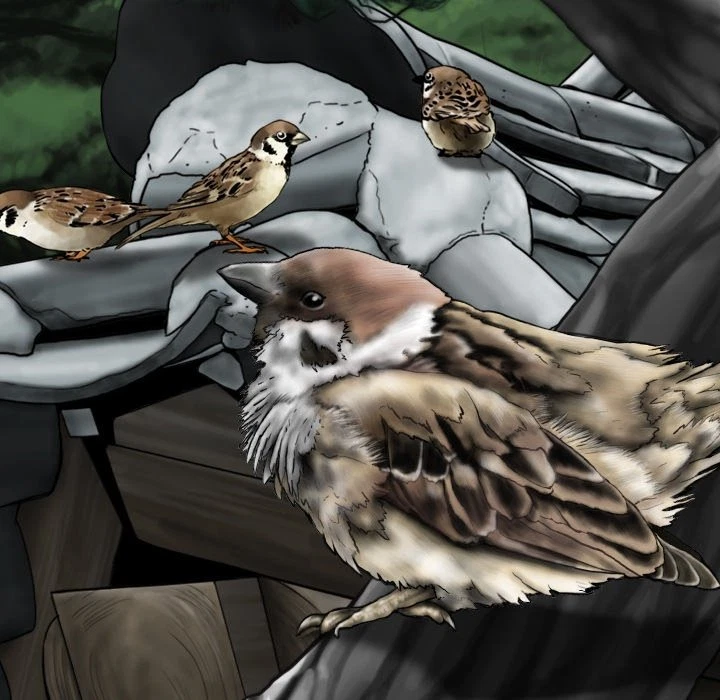 Chapter 64, page 107