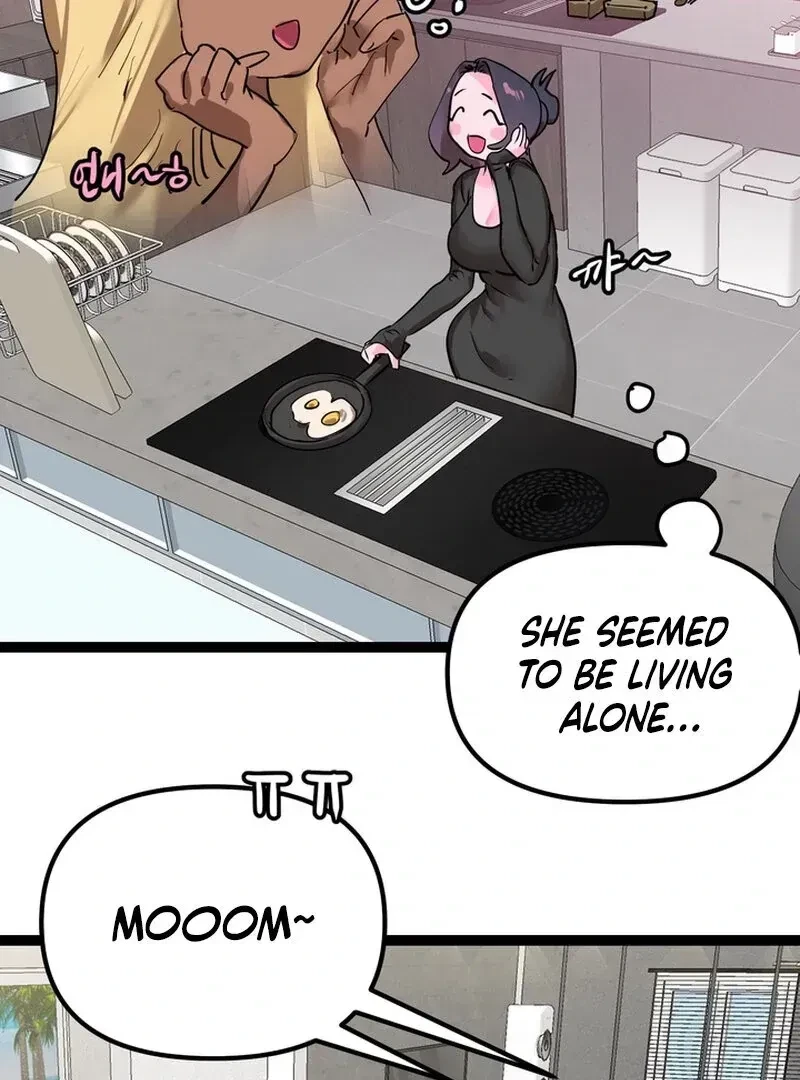 Chapter 1.1, page 74