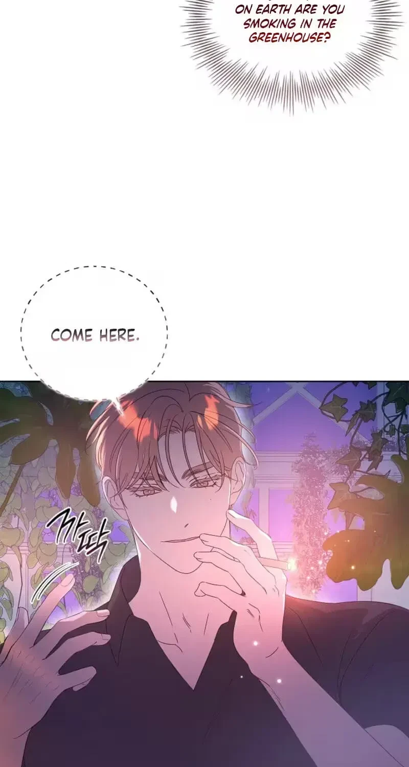Chapter 2, page 15