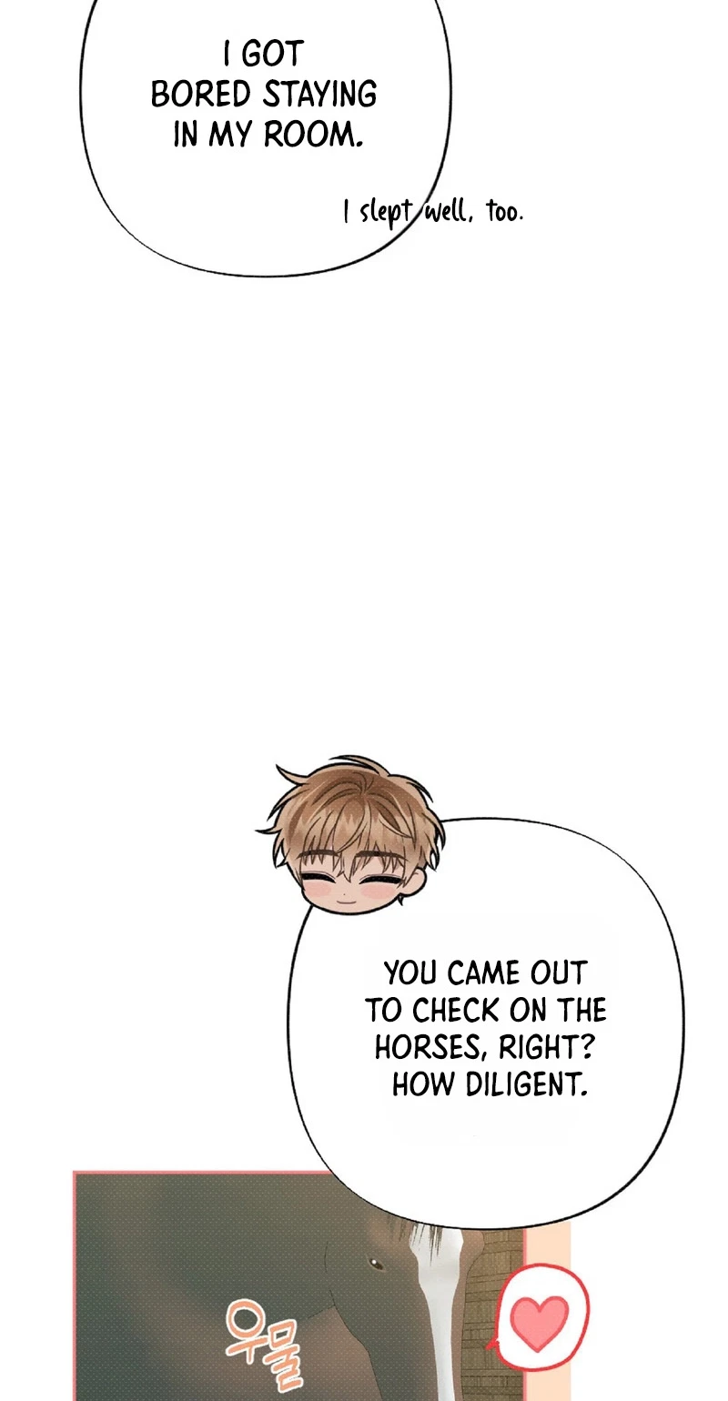 Chapter 3, page 17