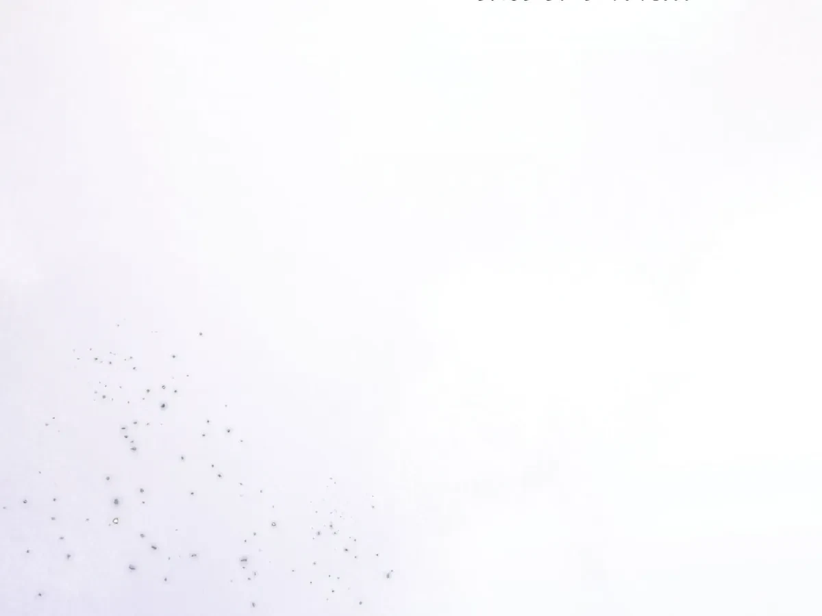 Chapter 1, page 110