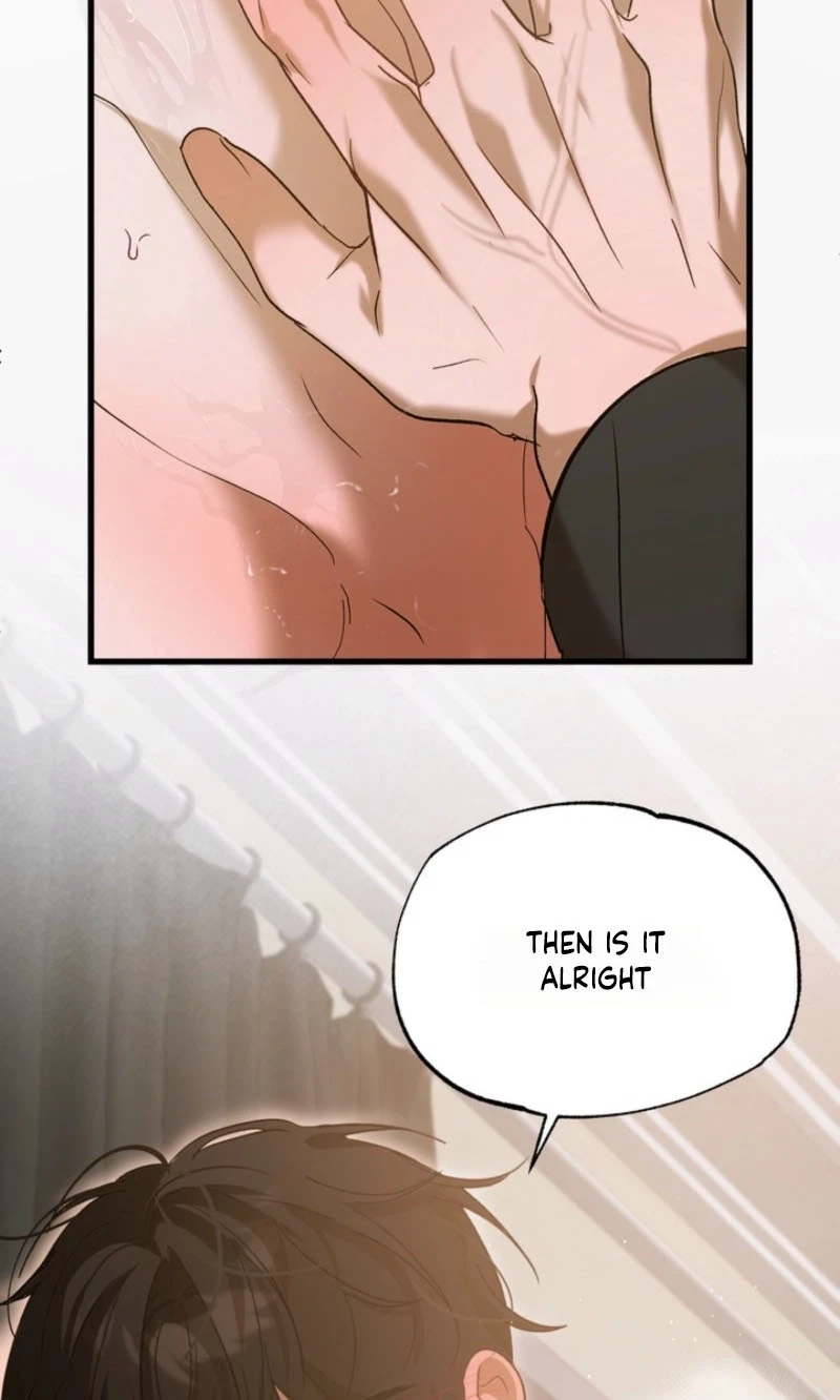 Chapter 4, page 33