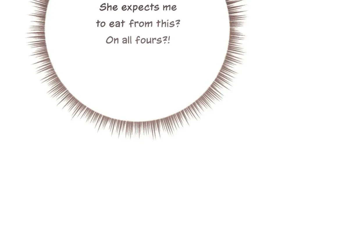 Chapter 3, page 24