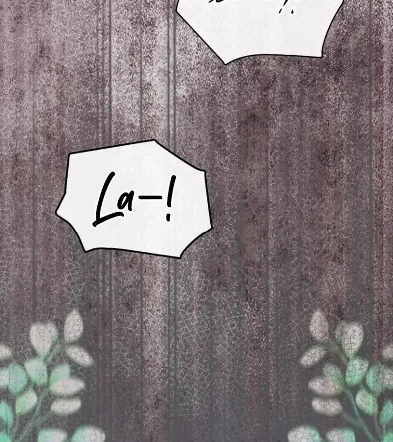 Chapter 1.1, page 41