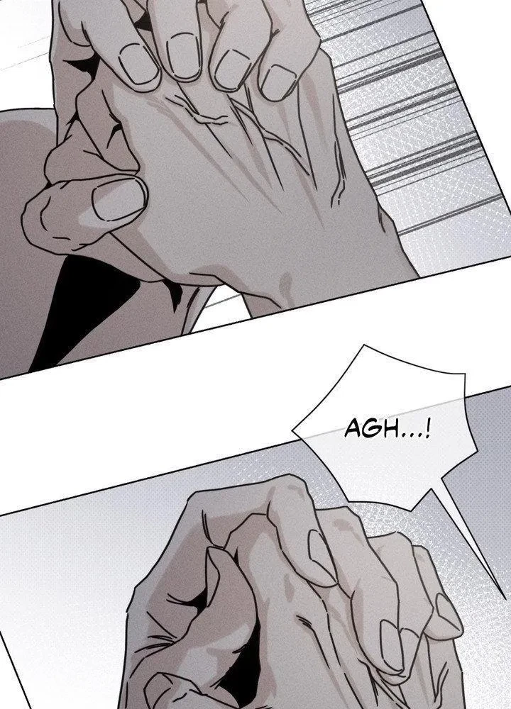 Chapter 2, page 26