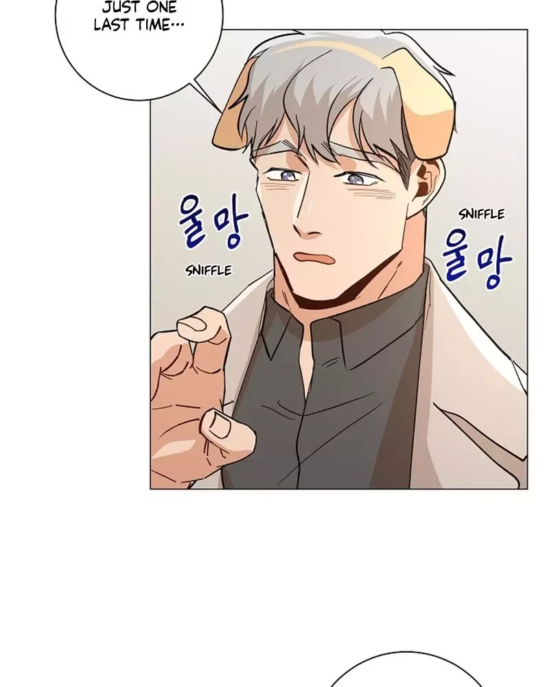 Chapter 44, page 43
