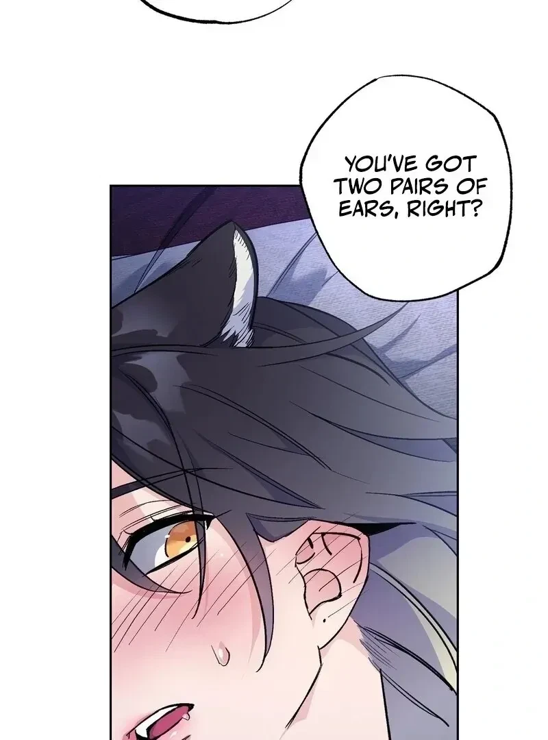 Chapter 2, page 60
