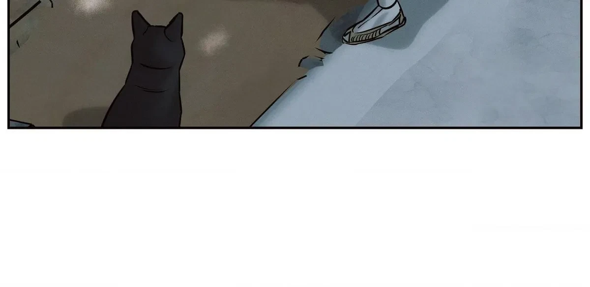 Chapter 3, page 68