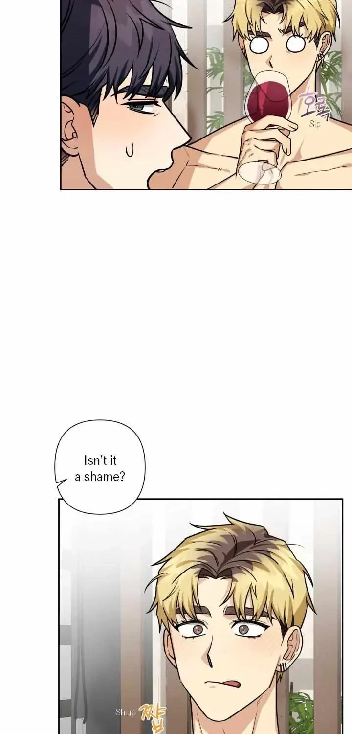 Chapter 2.1, page 44